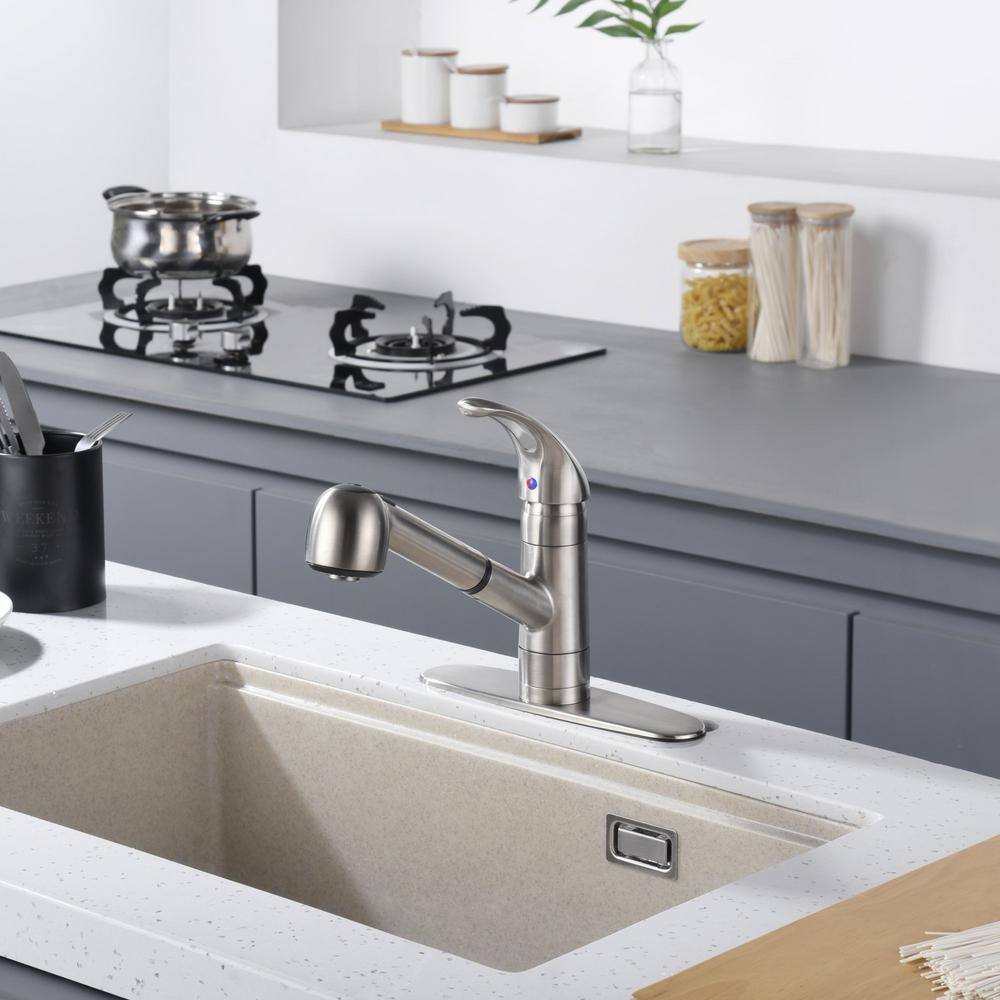 Stainless Steel Single Handle Pull-Out Kitchen Faucet