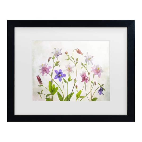 Trademark Fine Art Mandy Disher Columbine Matted Framed Photography Wall Art 18 in. x 22 in.