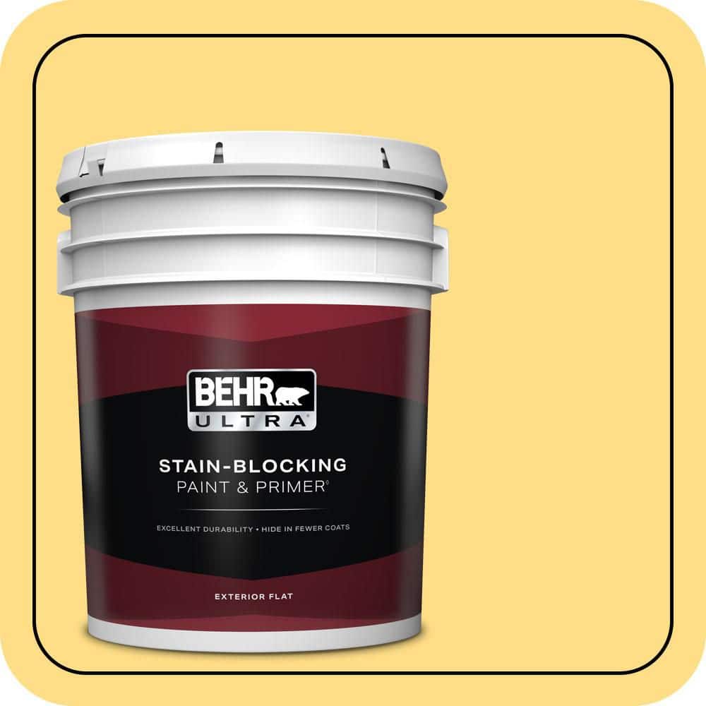 5 gal. #330B-5 Yellow Corn Flat Exterior Paint & Primer product image for price tracking