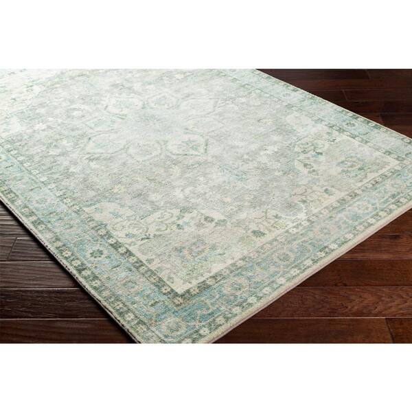 Ottawa Sage/Aqua Doormat 2 ft. x 3 ft. Indoor Area Rug