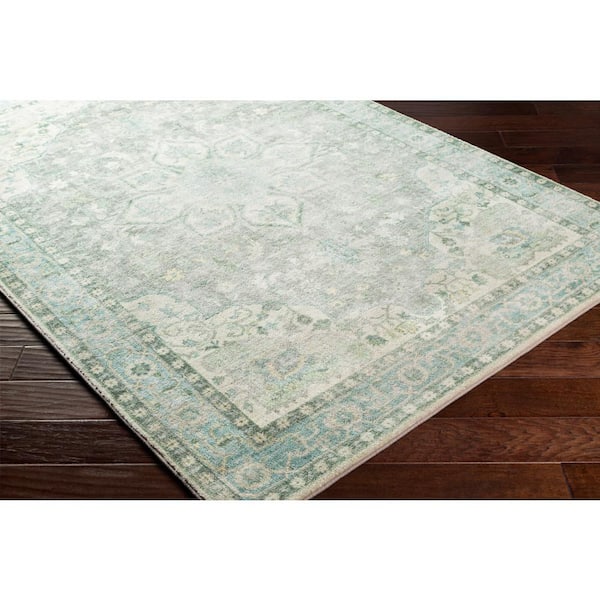 Ottawa Sage/Aqua 5 ft. x 8 ft. Indoor Area Rug