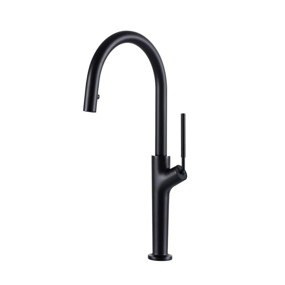 Matte Black Single Handle High Arc Kitchen Faucet with Pull-out Spray