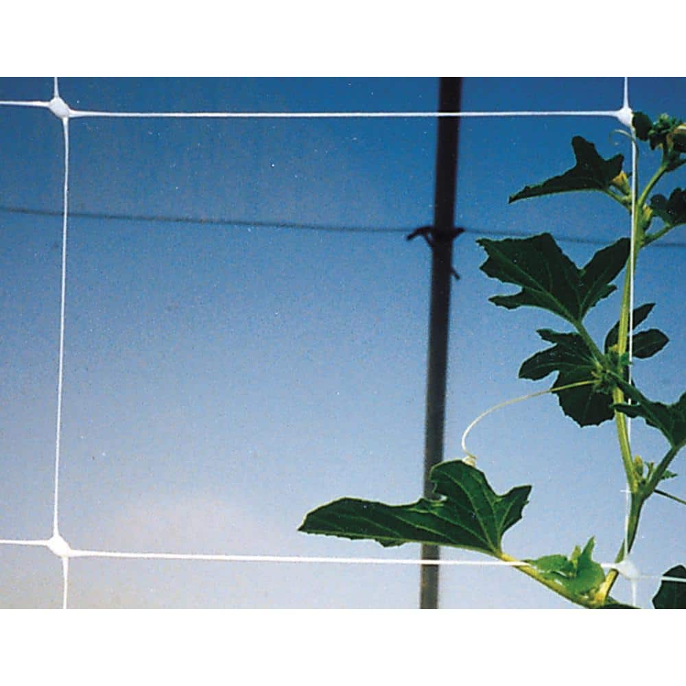 Hortonova White Polypropylene Trellis Net for Climbing Plants