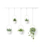 Triflora 5 Large Hanging Plastic Planters White Brass