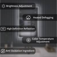tydex Zen 24 in. W x 36 in. H Rectangular Frameless LED Light Anti-Fog Wall Bathroom Vanity Mirror in Polished Crystal DXMD-2436