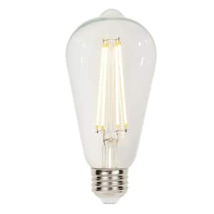 60-Watt Equivalent ST20 Dimmable Clear Edison Filament LED Light Bulb 2700K (1-Bulb)