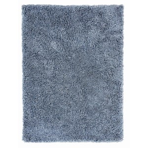 Microfiber Polyester Shag Persian Blue 5 ft. x 7 ft. Canilla Area Rug