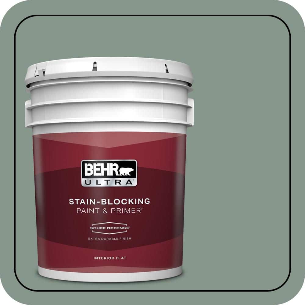 5 gal. #N420-4 Underground Gardens Extra Durable Flat Interior Paint & Primer price history on PriceWatchPro