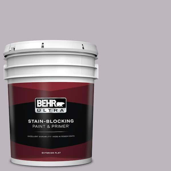 BEHR ULTRA 5 gal. #N100-3 Future Vision Flat Exterior Paint & Primer