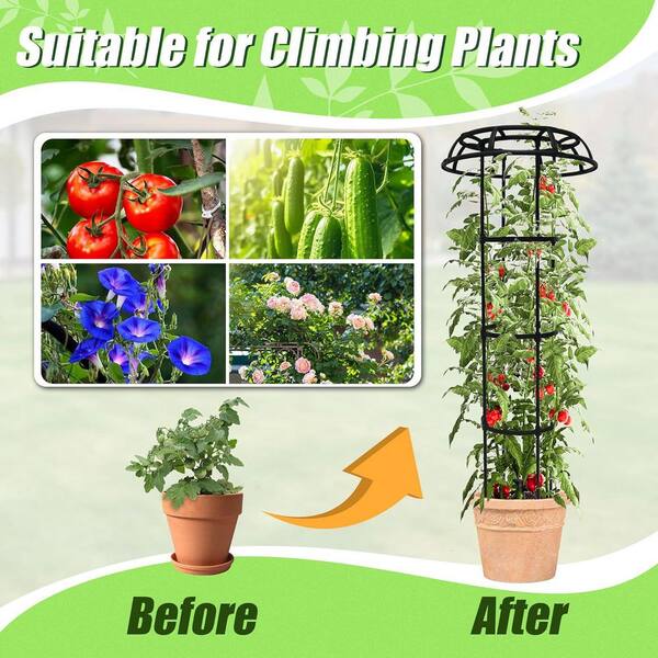 how to take care of air plant Wholesale: Air Plant Care Cards