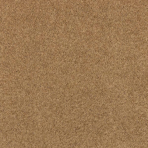 Home Decorators Collection 8 in. x 8 in. Texture Carpet Sample - Tailored Trends II -Color Refined