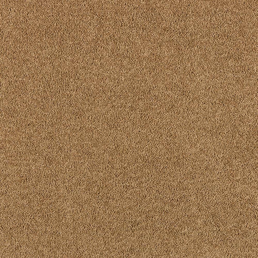 8 in. x 8 in. Texture Carpet Sample - Tailored Trends III -Color Refined price history on PriceWatchPro