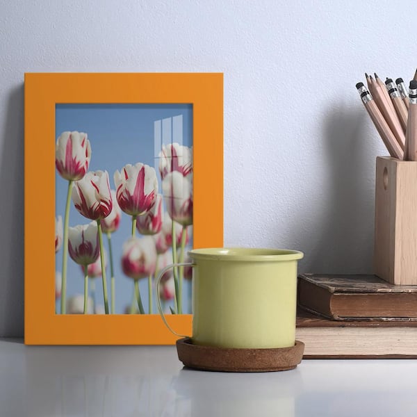 Modern 4 in. x 6 in. Orange Picture Frame (Set of 2)