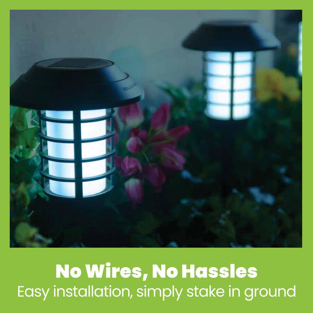 Black Solar LED Pathway Lights with Flickering Flame Effect, 2-Pack