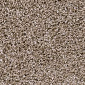 Founder - Leader - Brown 18 oz. SD Polyester Texture Installed Carpet