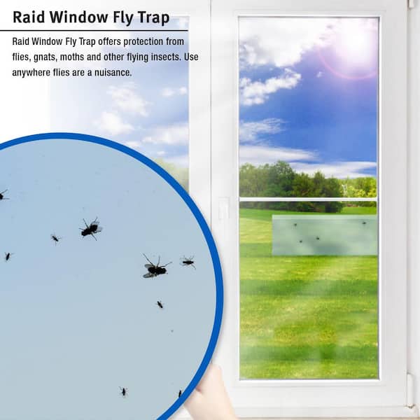 Window Fly Traps Indoor, Fly Paper Bug Sticky Strips, House Fly Killer  Window De