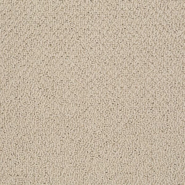 Dublin - Safari - Beige 39.3 oz. Nylon Loop Installed Carpet