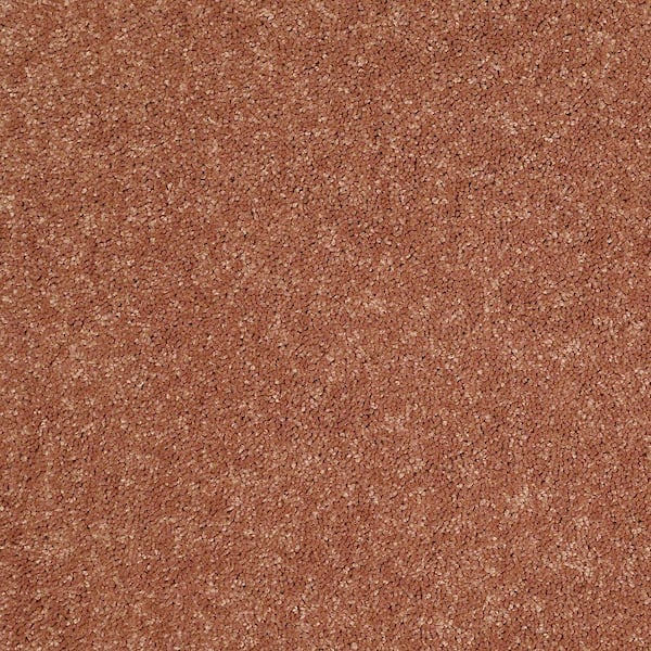 TrafficMaster 8 in. x 8 in. Texture Carpet Sample - Watercolors I - Color Copper