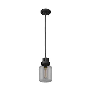 Somers 100-Watt 1 Light Textured Black Shaded Pendant Light with Tinted glass Tinted Glass Shade