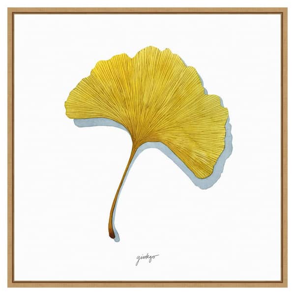Amanti Art Golden Ginkgo Study II by Grace Popp 1-Piece Floater Frame Canvas Giclee Nature Art Print 30 in. x 30 in.
