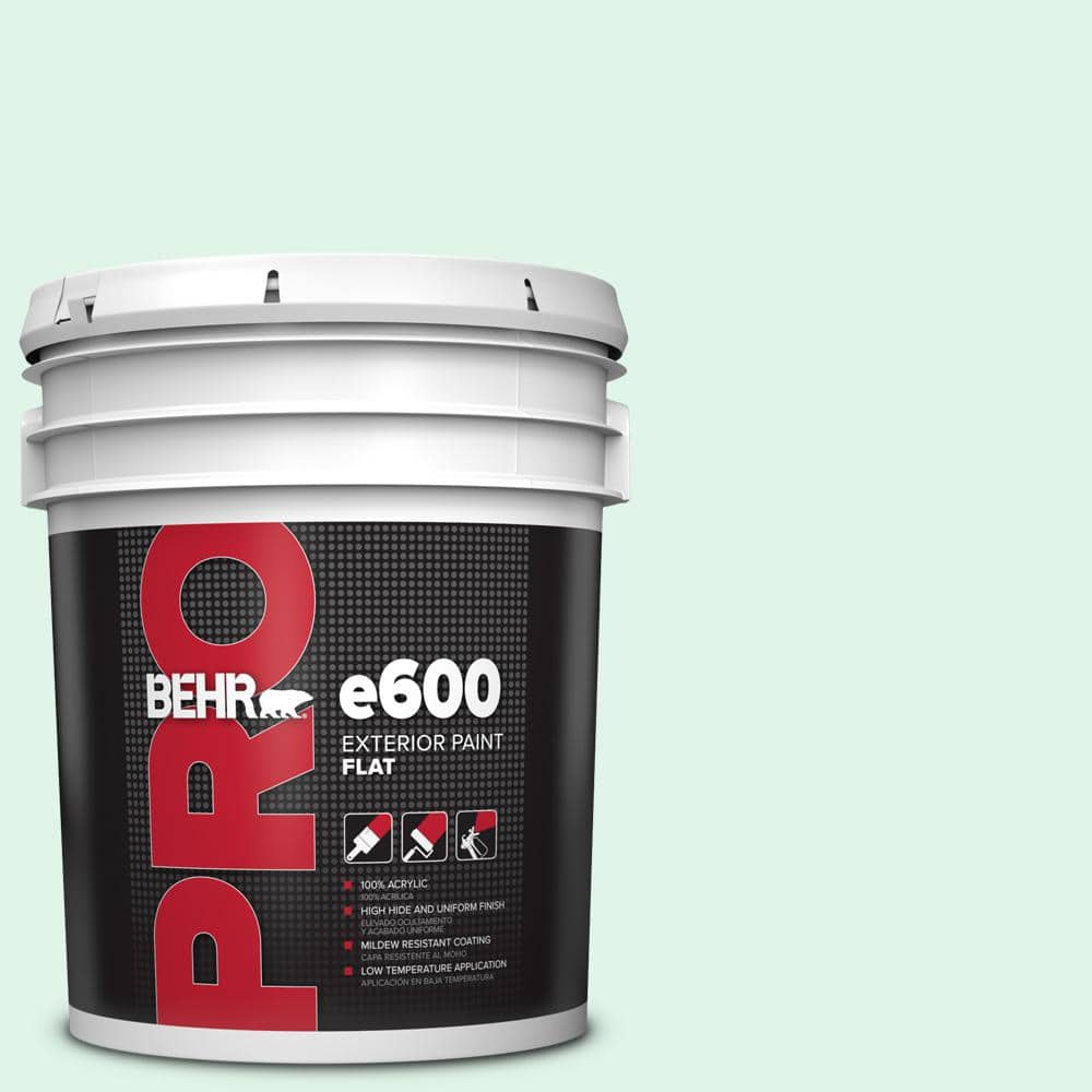5 gal. #470A-1 Window Pane Flat Exterior Paint price history on PriceWatchPro