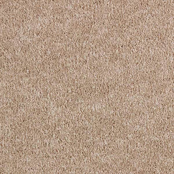 Home Decorators Collection Gemini II- Color Aberdeen Texture Beige