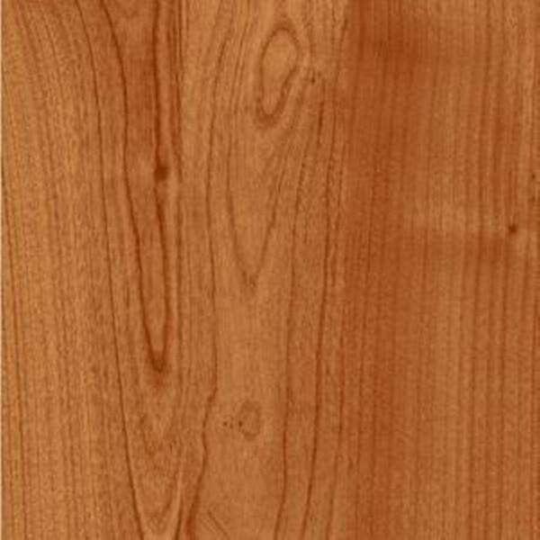 Shaw Native Collection Gunstock Oak Laminate Flooring - 5 in. x 7 in. Take Home Sample-DISCONTINUED