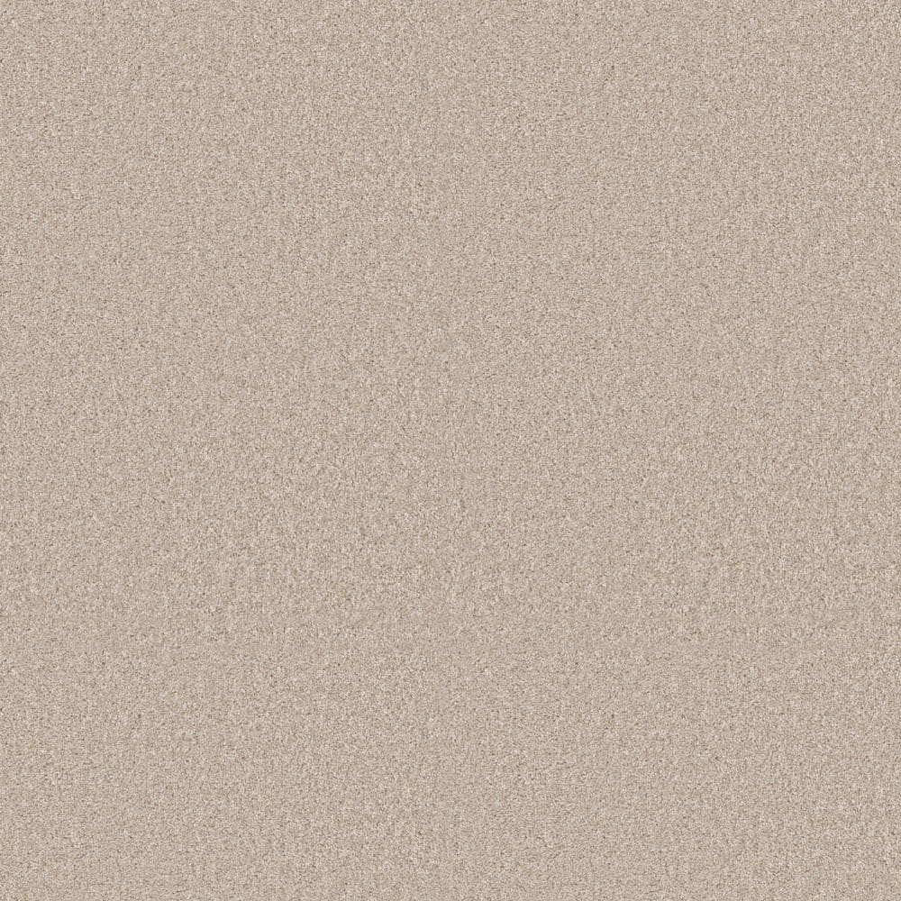 8 in. x 8 in. Texture Carpet Sample - Sunshine Cottage - Color Summer Field price history on PriceWatchPro