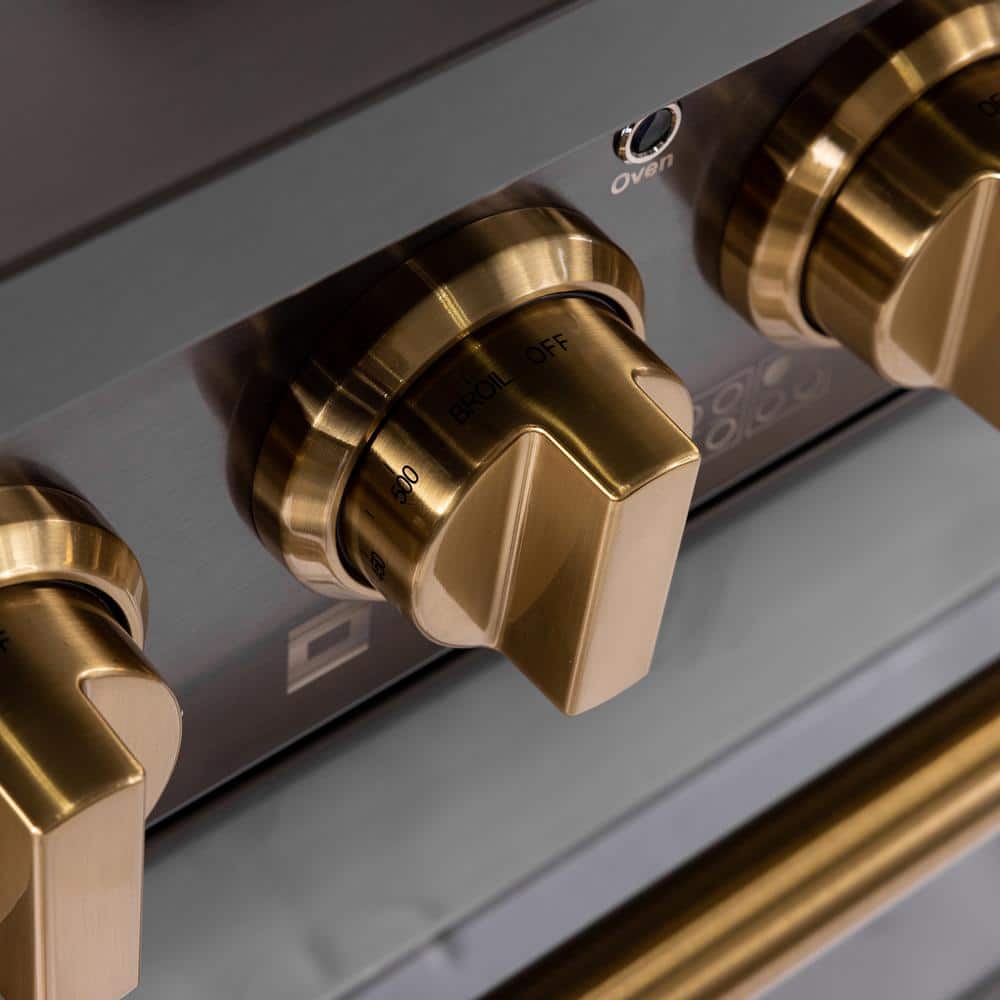 Gemstone 48-in Titanium Stainless Steel Gas Range with Gold Accents
