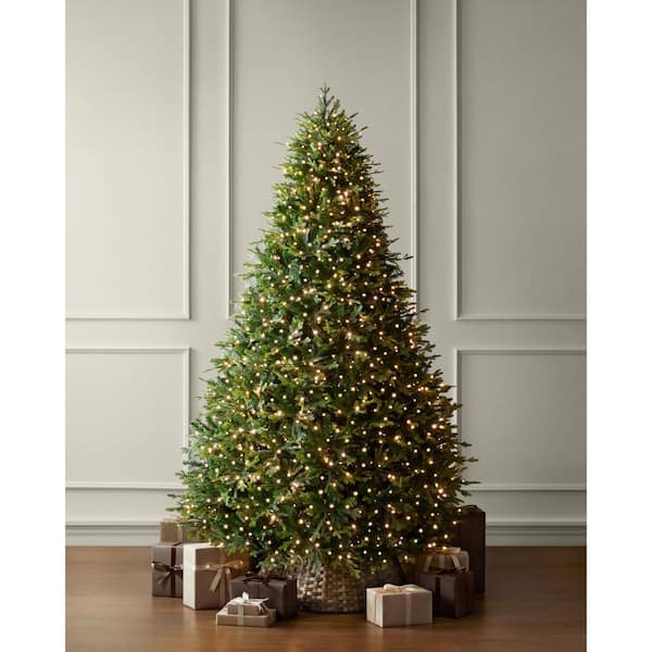 9 ft Ashford Twinkling Balsam Fir LED Pre-Lit Tree T36