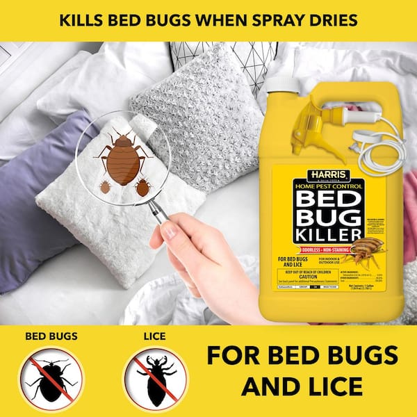 Harris Bed Bug Early Detection Glue Traps (4/Pack)