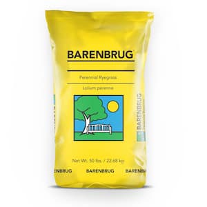 50 lbs. Barlennium Perennial Ryegrass Seed