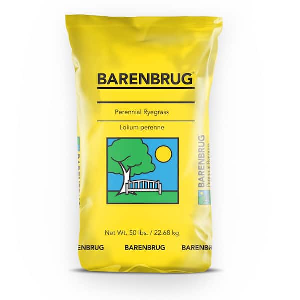 Barenbrug 50 lbs. Barlennium Perennial Ryegrass Seed