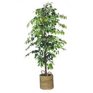 Artificial 6-foot Ficus Tree in Basket