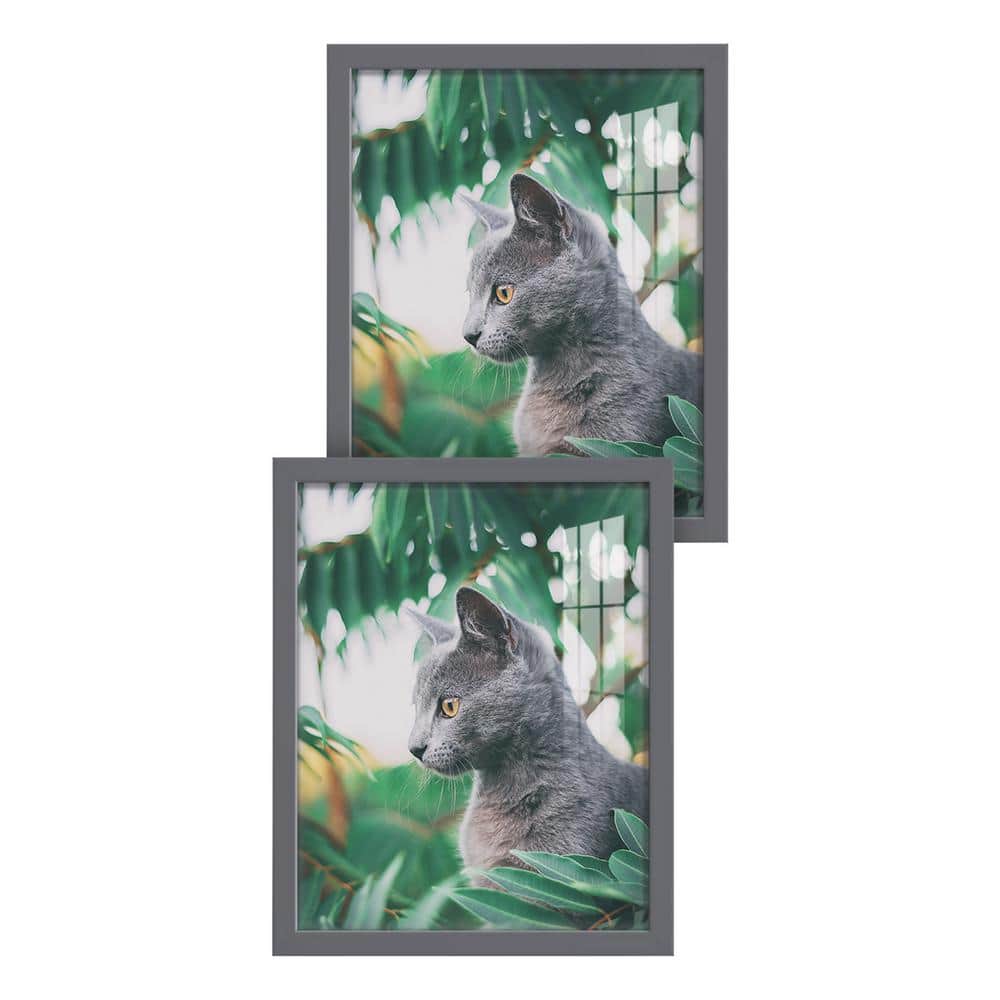 Wexford Home Modern 11 in. x 14 in. Grey Picture Frame (Set of 2