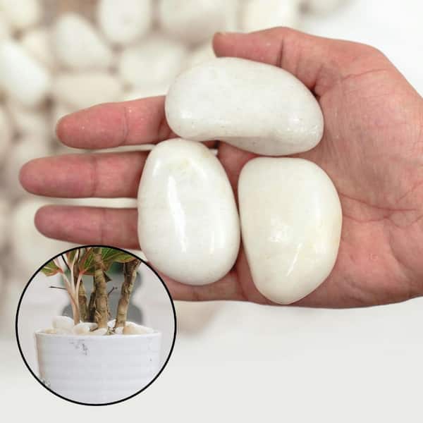 3 in. Stone Decorative Garden Landscaping Large Polished River Rock in White