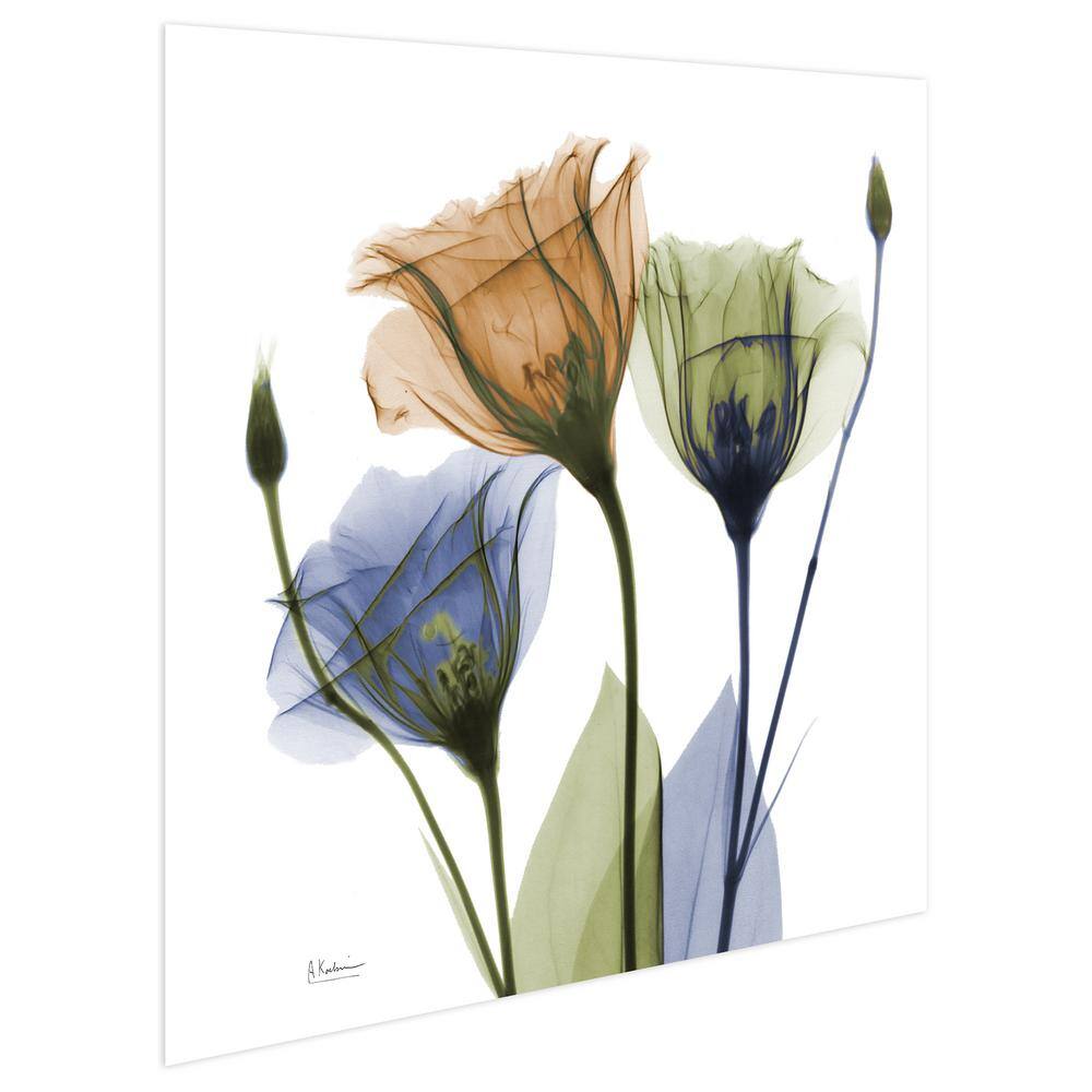 Gentian Buddies Multicolored Tempered Glass Wall Art, 24" x 24"