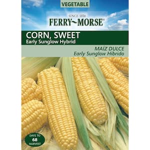 Corn Sweet Early Sunglow Seed
