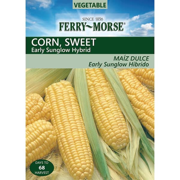 Ferry-Morse Corn Sweet Early Sunglow Seed