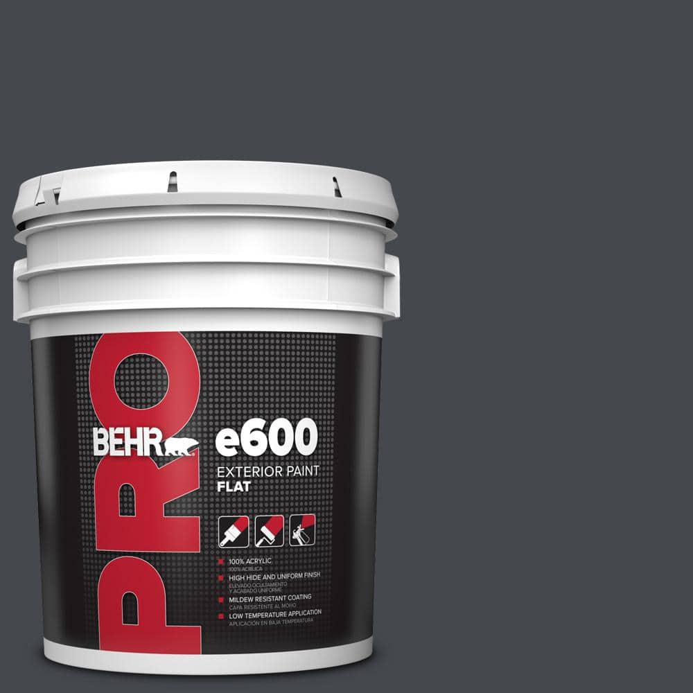 5 gal. #N490-7 Ink Black Flat Exterior Paint price history on PriceWatchPro