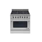 Entree 36 in. 5.5 cu. ft. Professional Style Gas Range with Convection Oven in Stainless Steel
