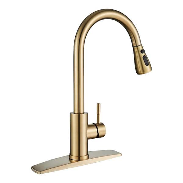 ANZA Single Handle Pull Down Sprayer Kitchen Faucet with Deck Plate in Gold