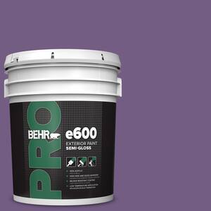 5 gal. #650B-7 Mystical Purple Semi-Gloss Exterior Paint