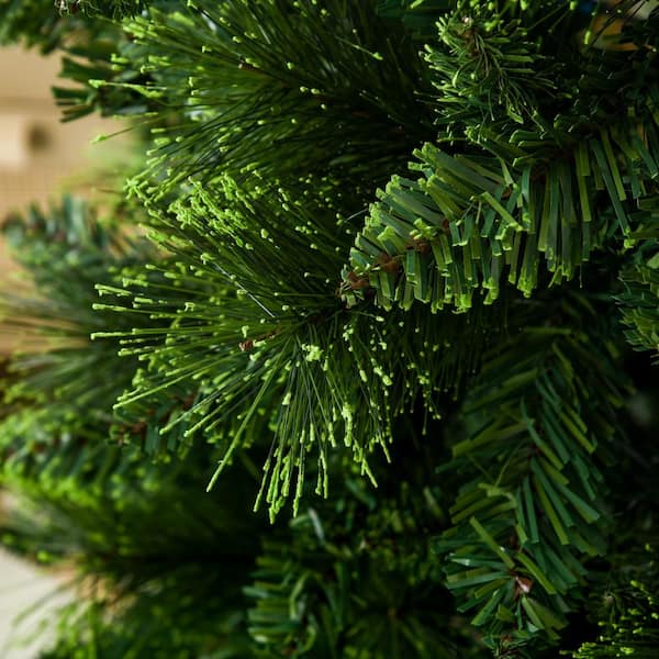 Premium Photo  Evergreen branches of christmas tree in pine