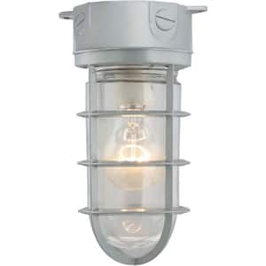 1-Light Silver Gray Outdoor/Indoor Flush Mount Lantern with Clear White Glass