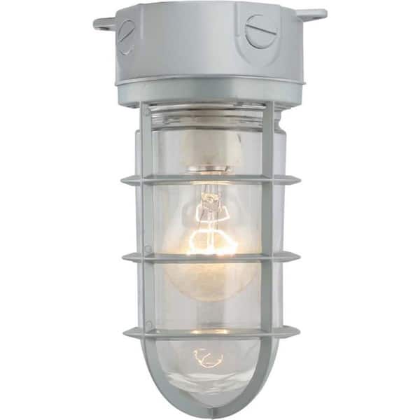 Volume Lighting 1-Light Silver Gray Outdoor/Indoor Flush Mount Lantern with Clear White Glass