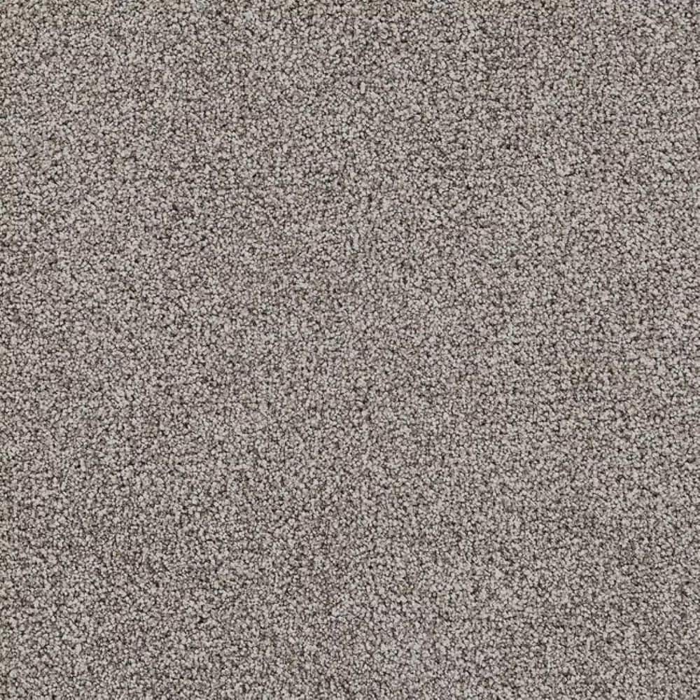 8 in. x 8 in. Texture Carpet Sample-Velvetine II-Color Jewel price history on PriceWatchPro