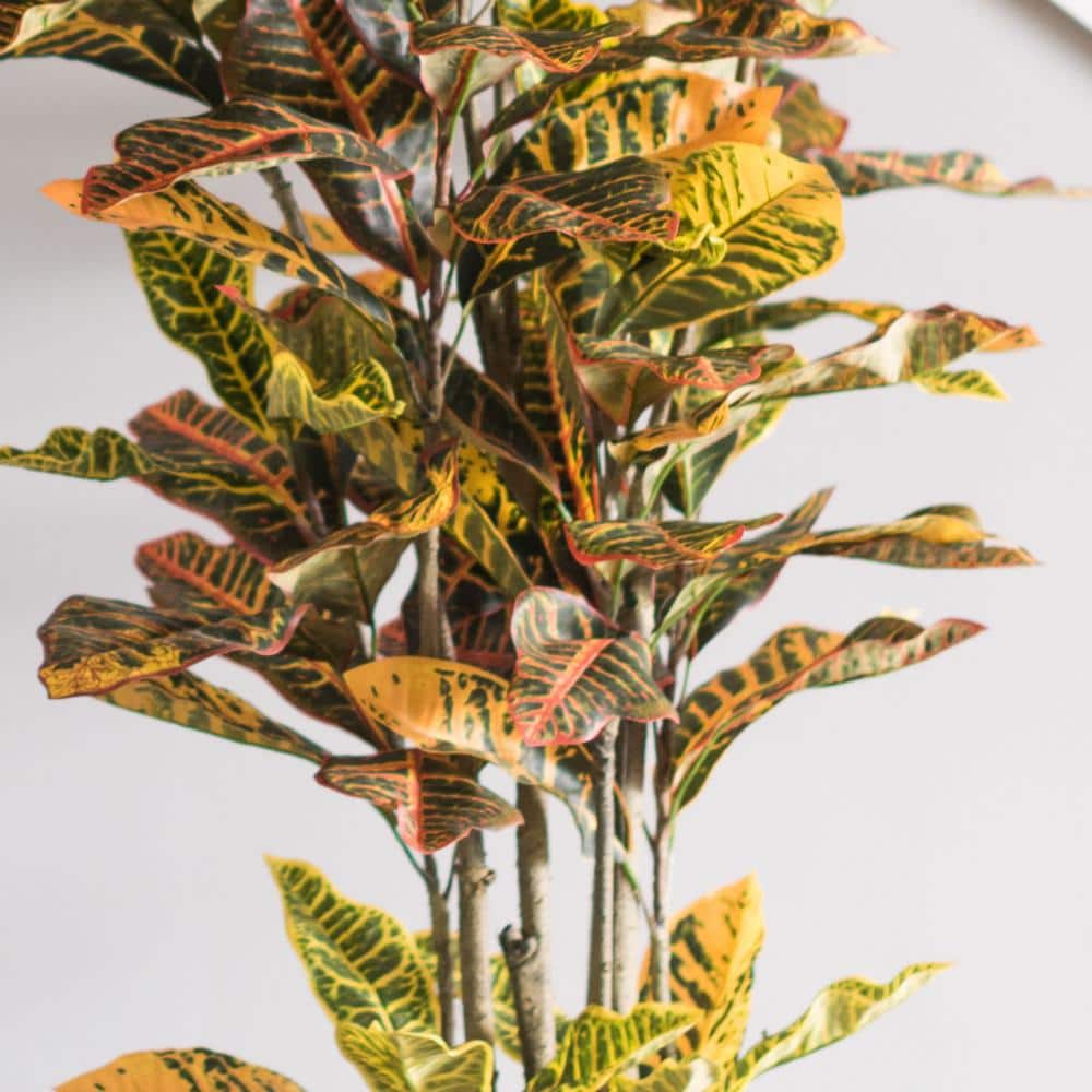 6' Green and Orange Faux Croton Tree in Black Planter