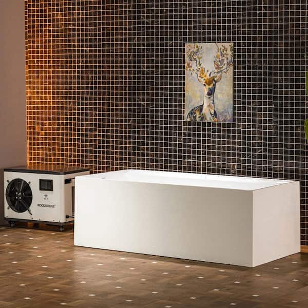 67 in. 1-Person 0-Jet Standard Cold Plunge Ice Bath Tub/Hot Tub w/ 1.3 HP Chiller and Heater,WiFi and App Remote Control