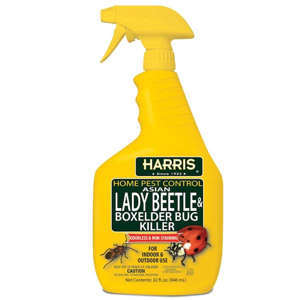 Harris 32 oz. Asian Lady Beetle and Box-Elder Bug Killer